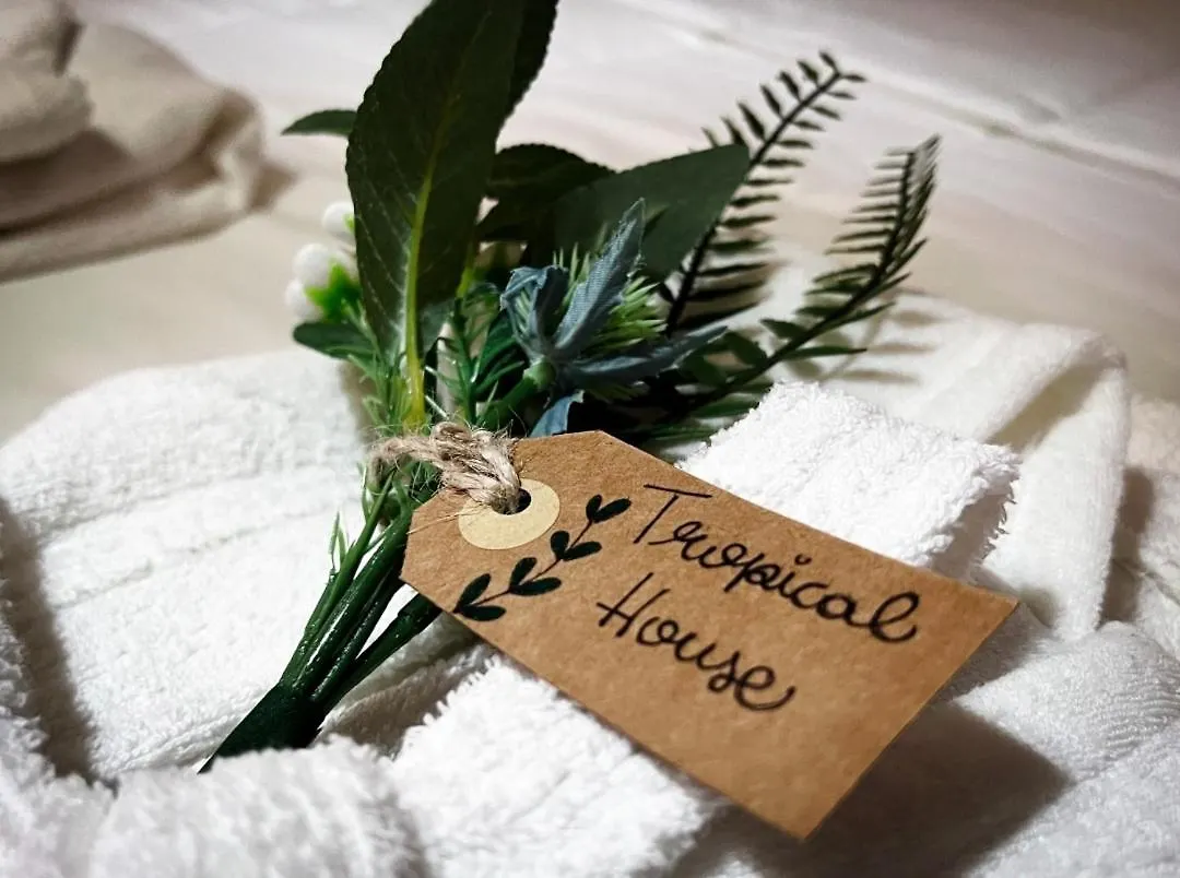 Πανσιόν Tropical House60 Ξενοδοχείο Ρώμη Ιταλία